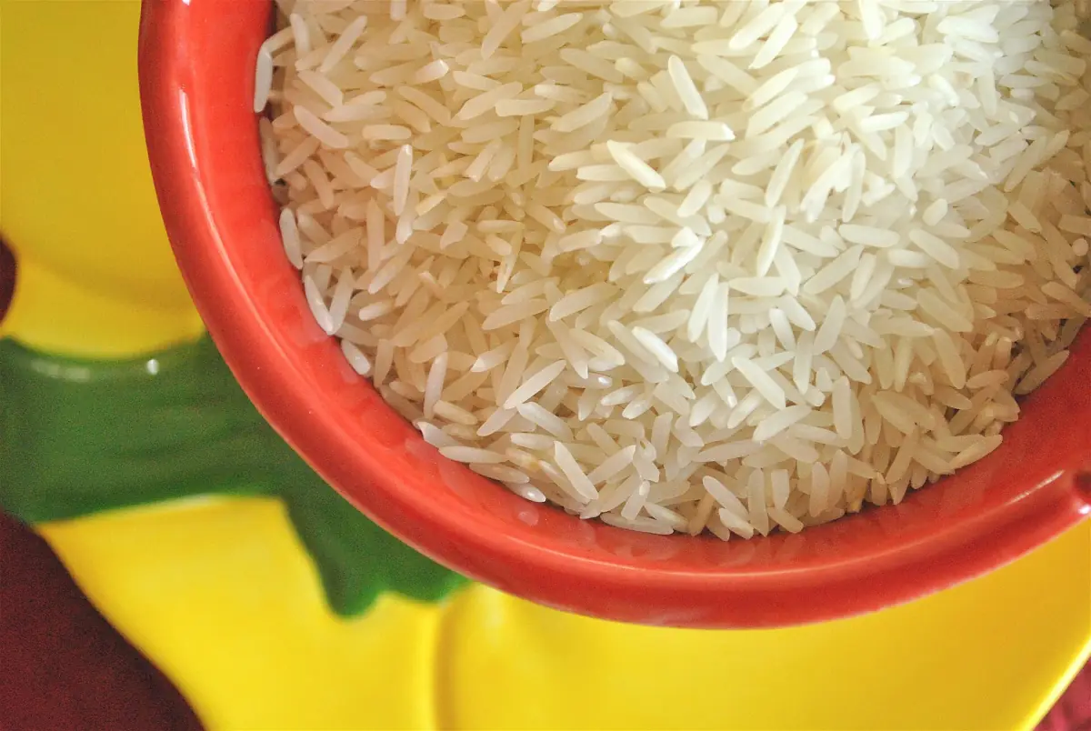 Rice and broken rice